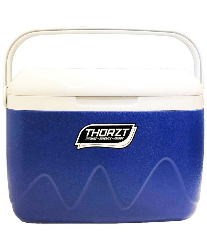 WORKWEAR, SAFETY & CORPORATE CLOTHING SPECIALISTS - 21L ICE BOX