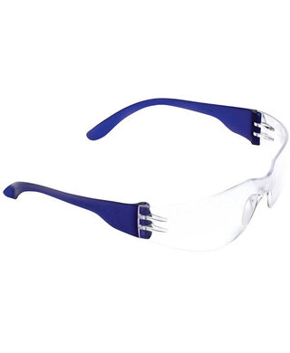 WORKWEAR, SAFETY & CORPORATE CLOTHING SPECIALISTS - PRO CHOICE GLASSES 1600 TSUNAMI