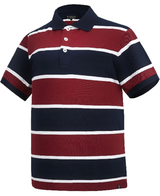 WORKWEAR, SAFETY & CORPORATE CLOTHING SPECIALISTS - Pilbara Mens Y/D Striped Polo
